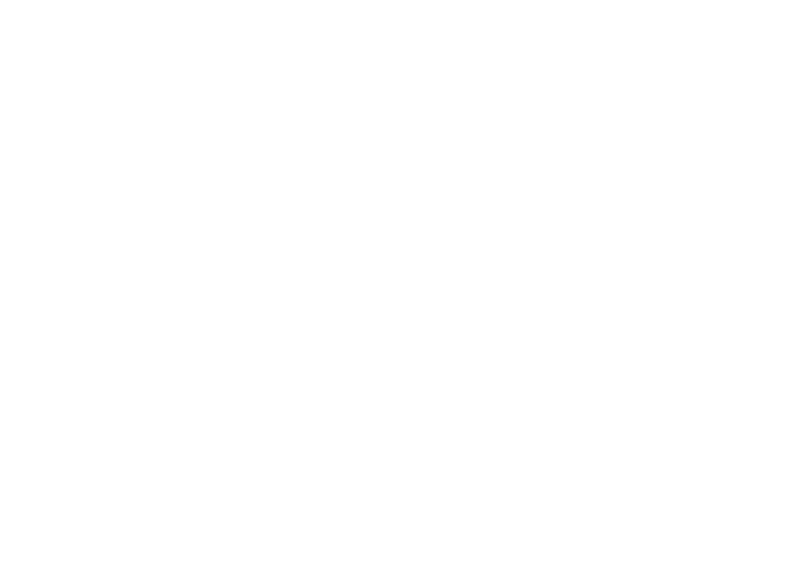 TourBird